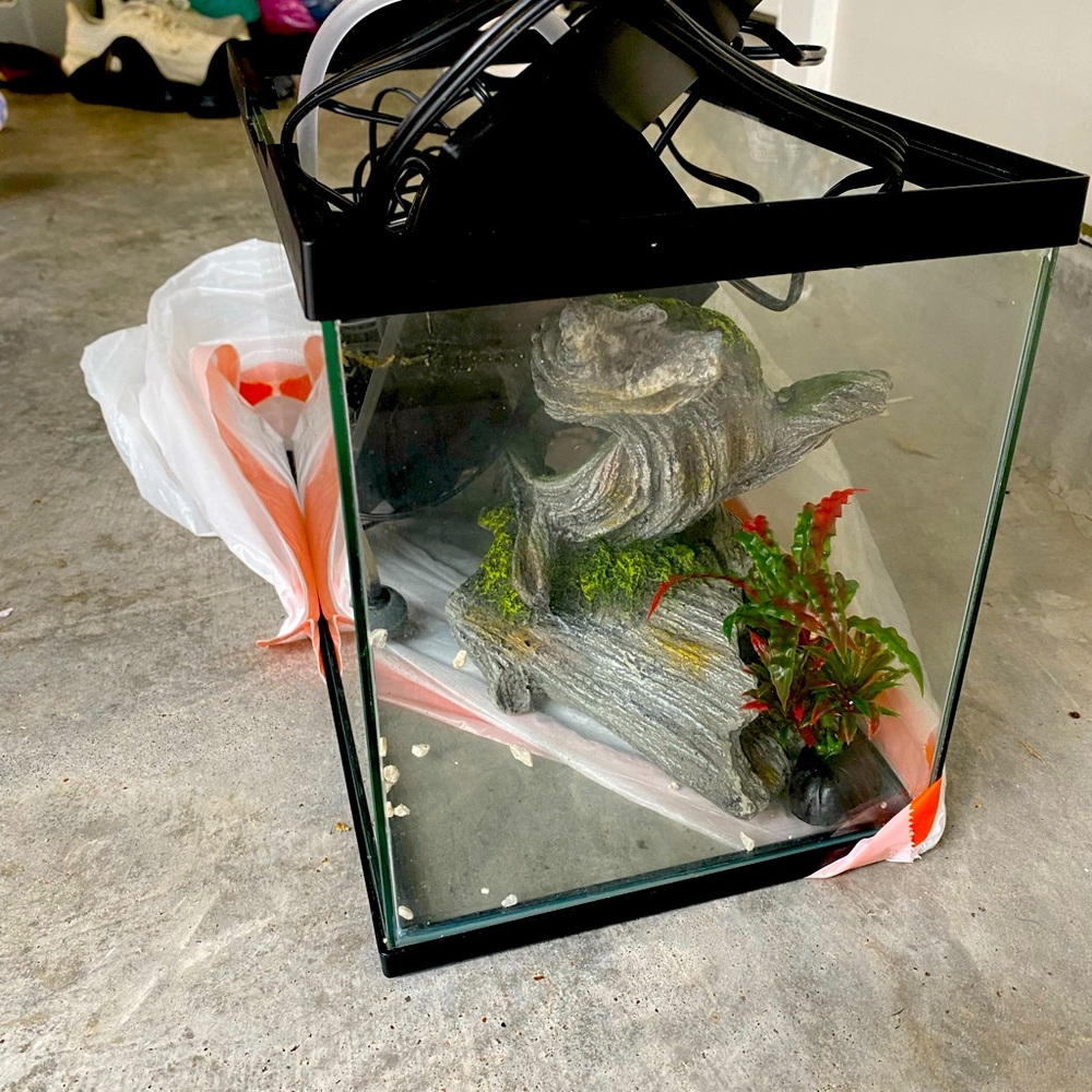 3 gal. Fish tank